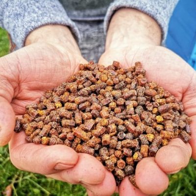 Lietuviškas medus 48 Bičių duona